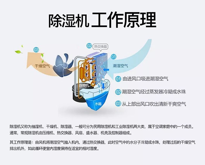 對抗梅雨天，絕不認輸！