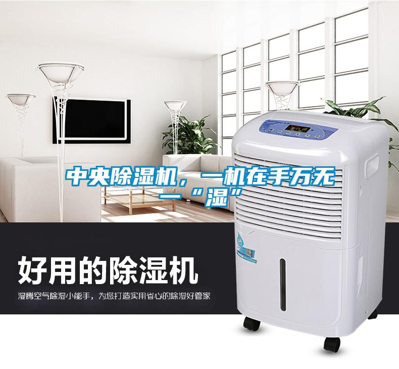 中央除濕機，一機在手萬無一“濕”