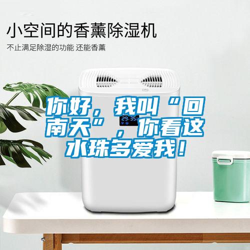 你好，我叫“回南天”，你看這水珠多愛我！