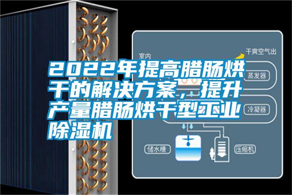 2022年提高臘腸烘干的解決方案，提升產(chǎn)量臘腸烘干型工業(yè)除濕機