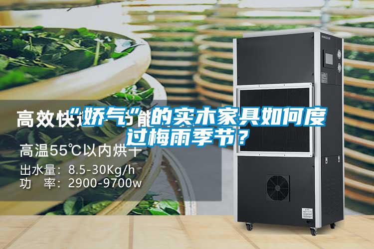 “嬌氣”的實木家具如何度過梅雨季節？