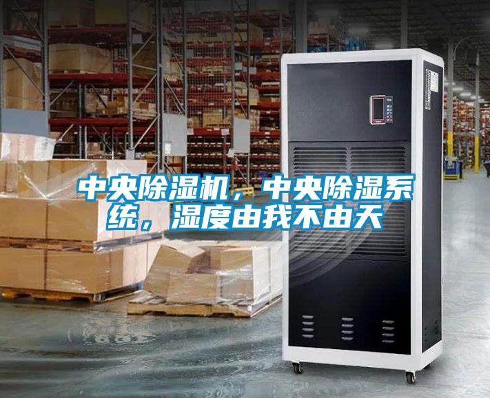 中央除濕機，中央除濕系統(tǒng)，濕度由我不由天