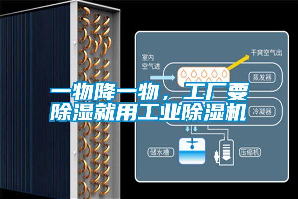 一物降一物，工廠要除濕就用工業(yè)除濕機