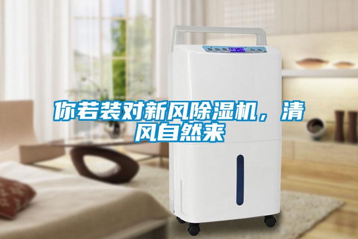 你若裝對新風除濕機，清風自然來