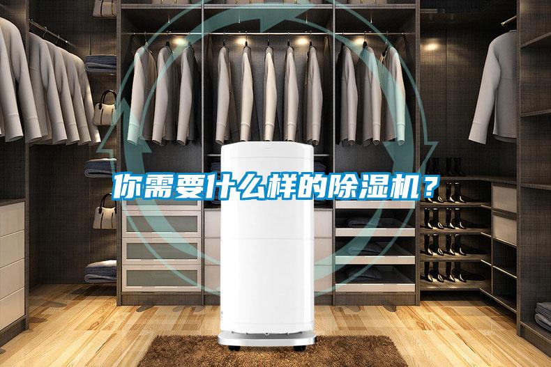 你需要什么樣的除濕機？