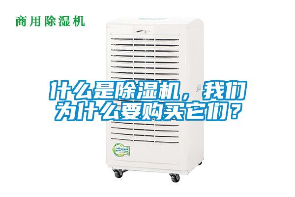 什么是除濕機(jī)，我們?yōu)槭裁匆徺I它們？