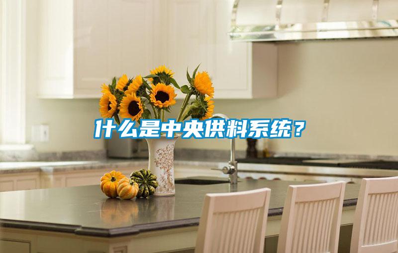什么是中央供料系統？