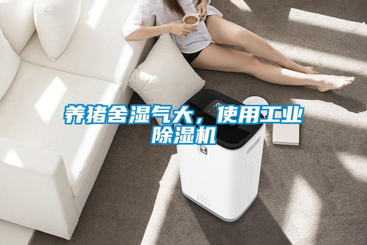 養(yǎng)豬舍濕氣大，使用工業(yè)除濕機(jī)