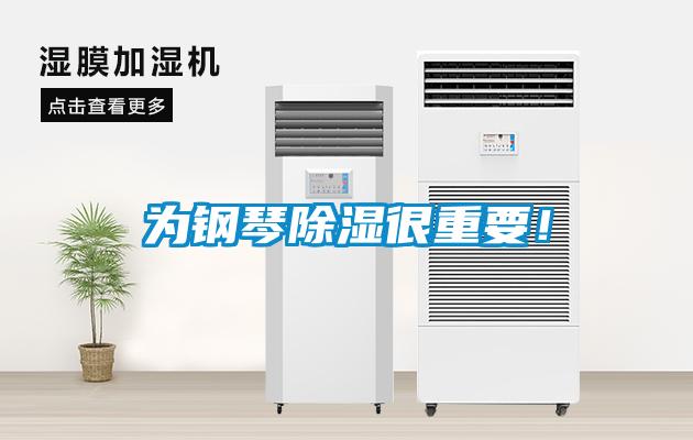 為鋼琴除濕很重要！