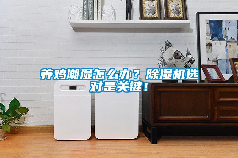 養雞潮濕怎么辦？除濕機選對是關鍵！