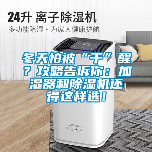 冬天怕被“干”醒？攻略告訴你：加濕器和除濕機還得這樣選！
