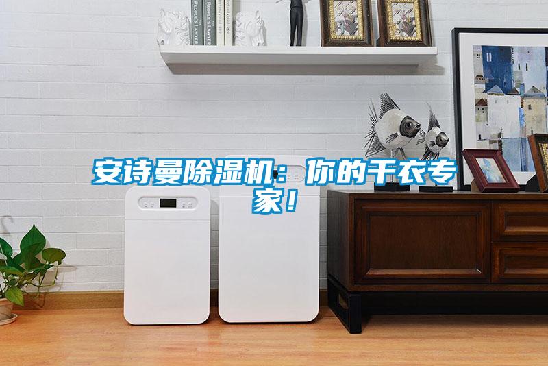 安詩曼除濕機：你的干衣專家！