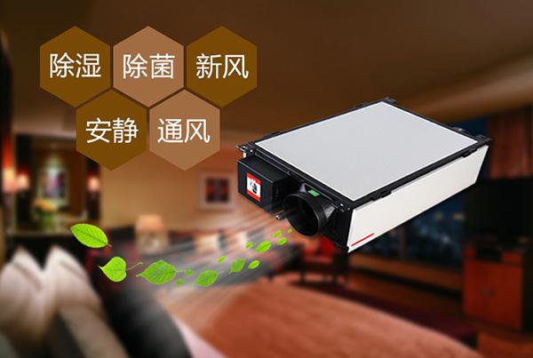 只有做好品牌，除濕機企業(yè)才能更長久