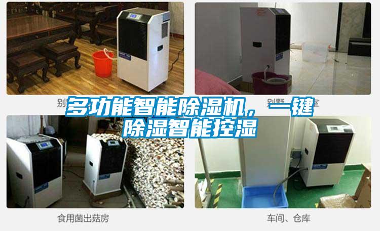 多功能智能除濕機，一鍵除濕智能控濕