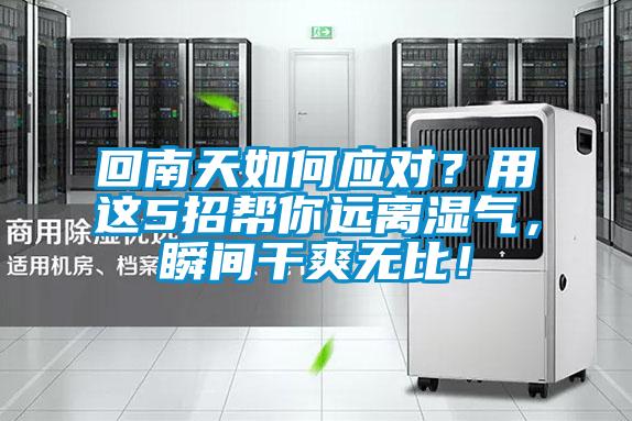 回南天如何應對？用這5招幫你遠離濕氣，瞬間干爽無比！