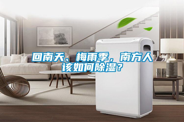 回南天、梅雨季，南方人該如何除濕？