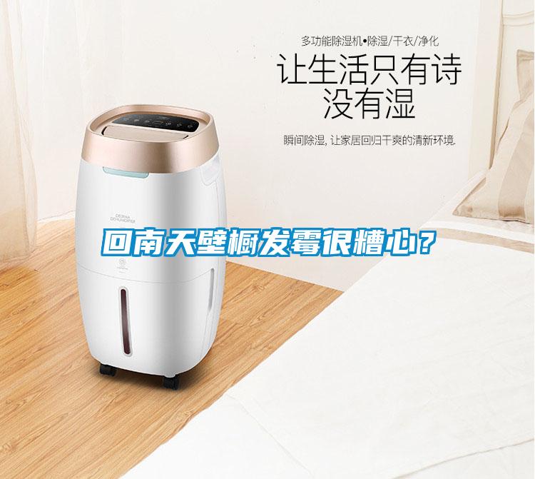 回南天壁櫥發霉很糟心？