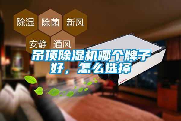 吊頂除濕機哪個牌子好，怎么選擇