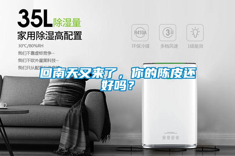 回南天又來了，你的陳皮還好嗎？