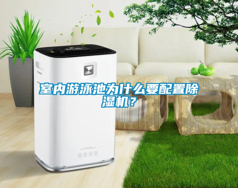 室內(nèi)游泳池為什么要配置除濕機？