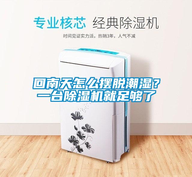 回南天怎么擺脫潮濕？一臺(tái)除濕機(jī)就足夠了