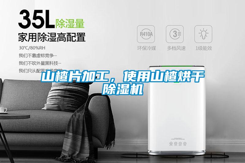 山楂片加工，使用山楂烘干除濕機