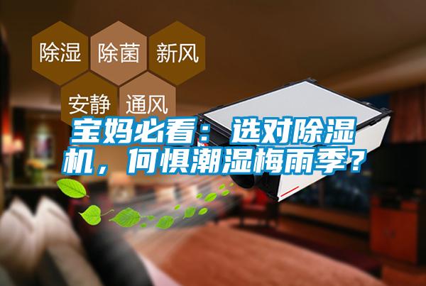 寶媽必看：選對(duì)除濕機(jī)，何懼潮濕梅雨季？