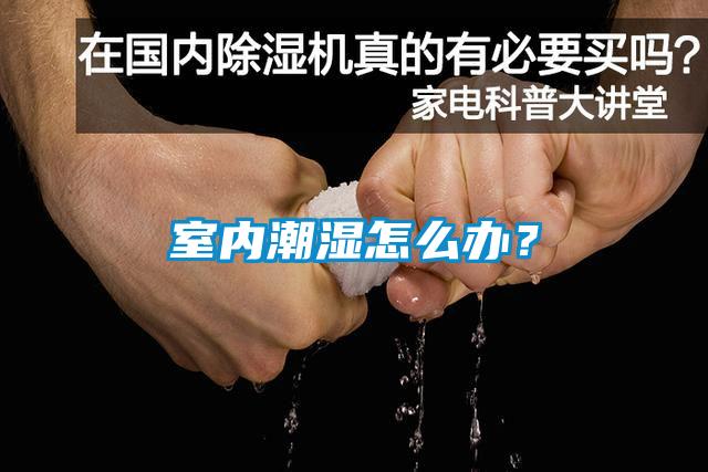 室內潮濕怎么辦？