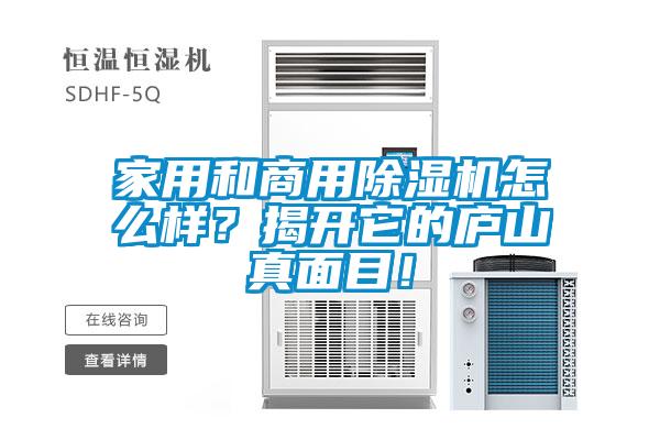 家用和商用除濕機怎么樣？揭開它的廬山真面目！
