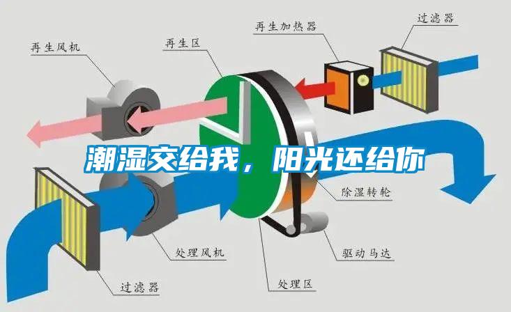 潮濕傷于無形，除濕機來防范
