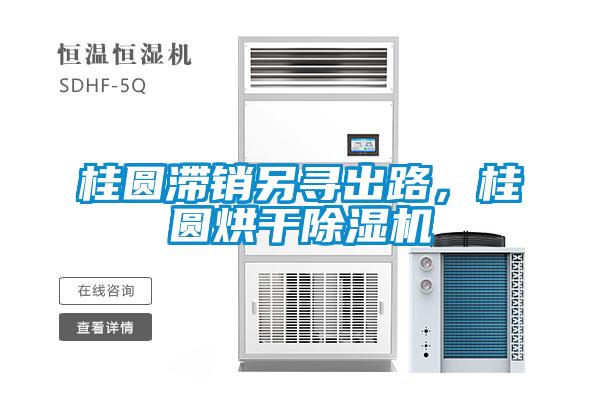 桂圓滯銷另尋出路，桂圓烘干除濕機