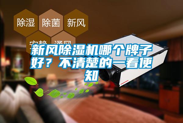 新風除濕機哪個牌子好？不清楚的一看便知