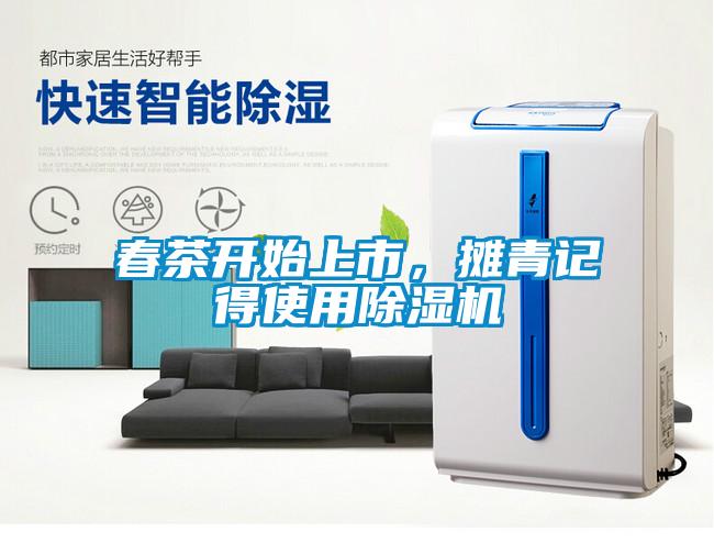 春茶開始上市，攤青記得使用除濕機