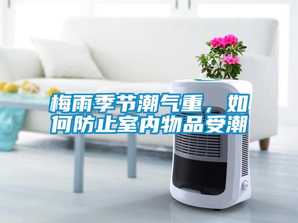 梅雨季節潮氣重，如何防止室內物品受潮