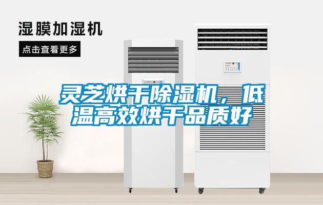 靈芝烘干除濕機，低溫高效烘干品質好
