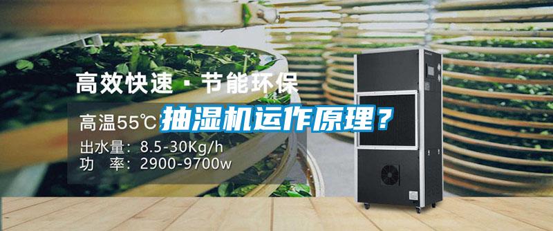 抽濕機運作原理？