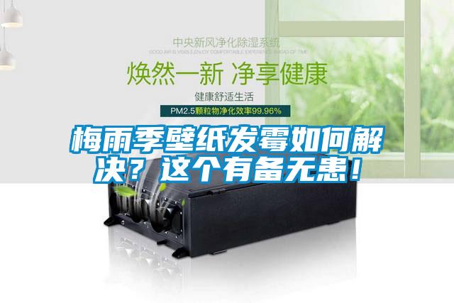 梅雨季壁紙發(fā)霉如何解決？這個(gè)有備無(wú)患！