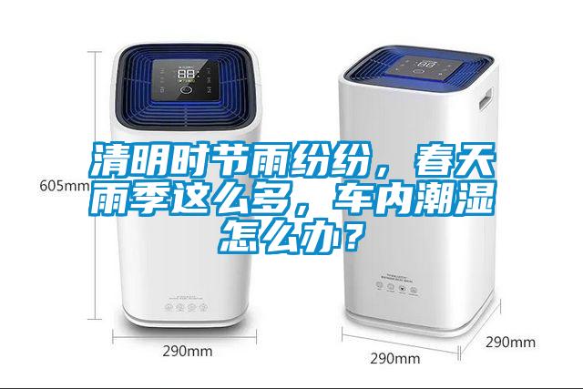 清明時節(jié)雨紛紛，春天雨季這么多，車內(nèi)潮濕怎么辦？