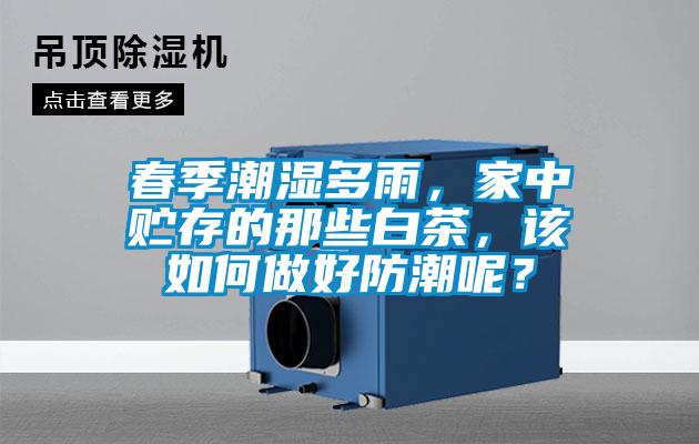 春季潮濕多雨，家中貯存的那些白茶，該如何做好防潮呢？