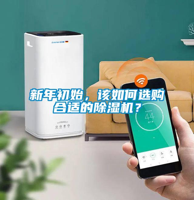 新年初始，該如何選購合適的除濕機？