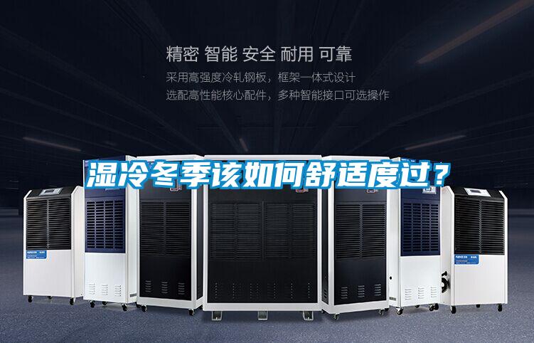 濕冷冬季該如何舒適度過？