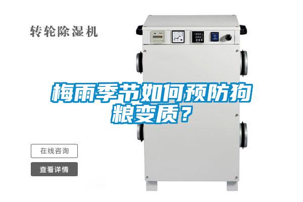 梅雨季節如何預防狗糧變質？