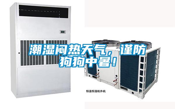 潮濕悶熱天氣，謹防狗狗中暑！