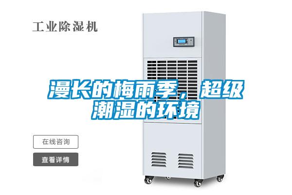 漫長的梅雨季，超級潮濕的環境
