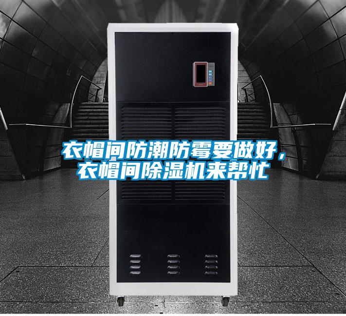 衣帽間防潮防霉要做好，衣帽間除濕機來幫忙
