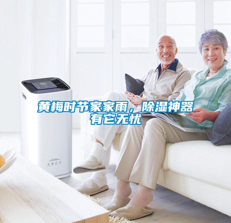 黃梅時節家家雨，除濕神器有它無憂
