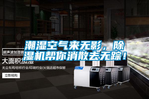 潮濕空氣來無影，除濕機幫你消散去無蹤！