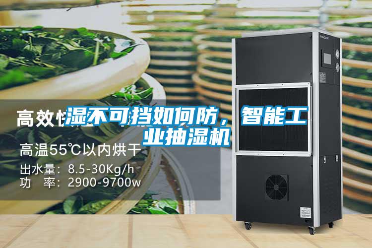 濕不可擋如何防，智能工業(yè)抽濕機(jī)