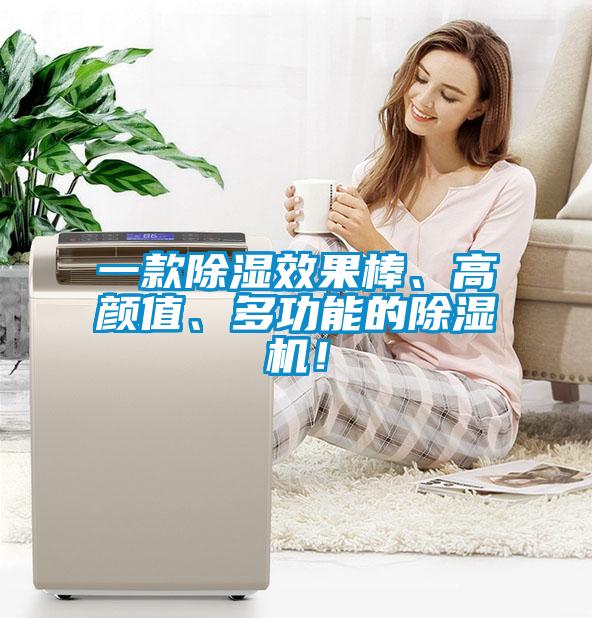 一款除濕效果棒、高顏值、多功能的除濕機！