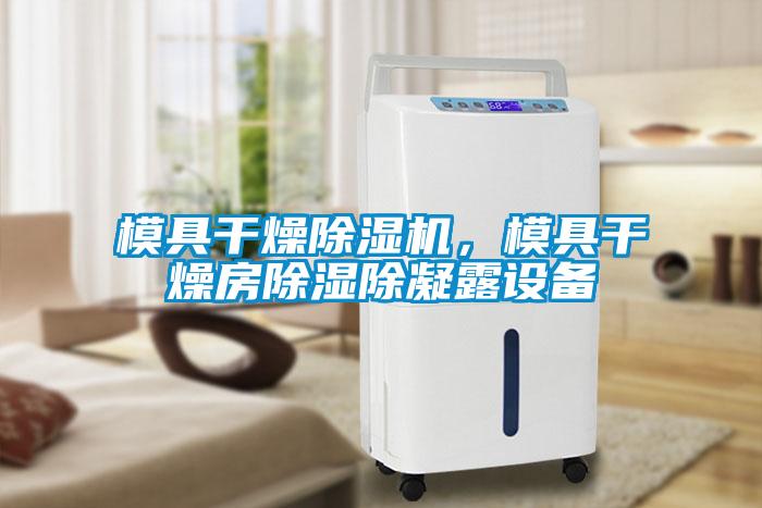 模具干燥除濕機，模具干燥房除濕除凝露設備
